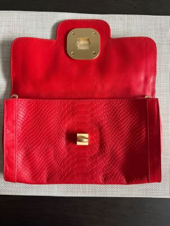 Longchamp Clutch
