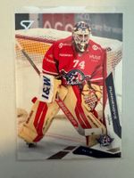 321 Ivars Punnenovs SC Rapperswil-Jona Lakers SportZoo