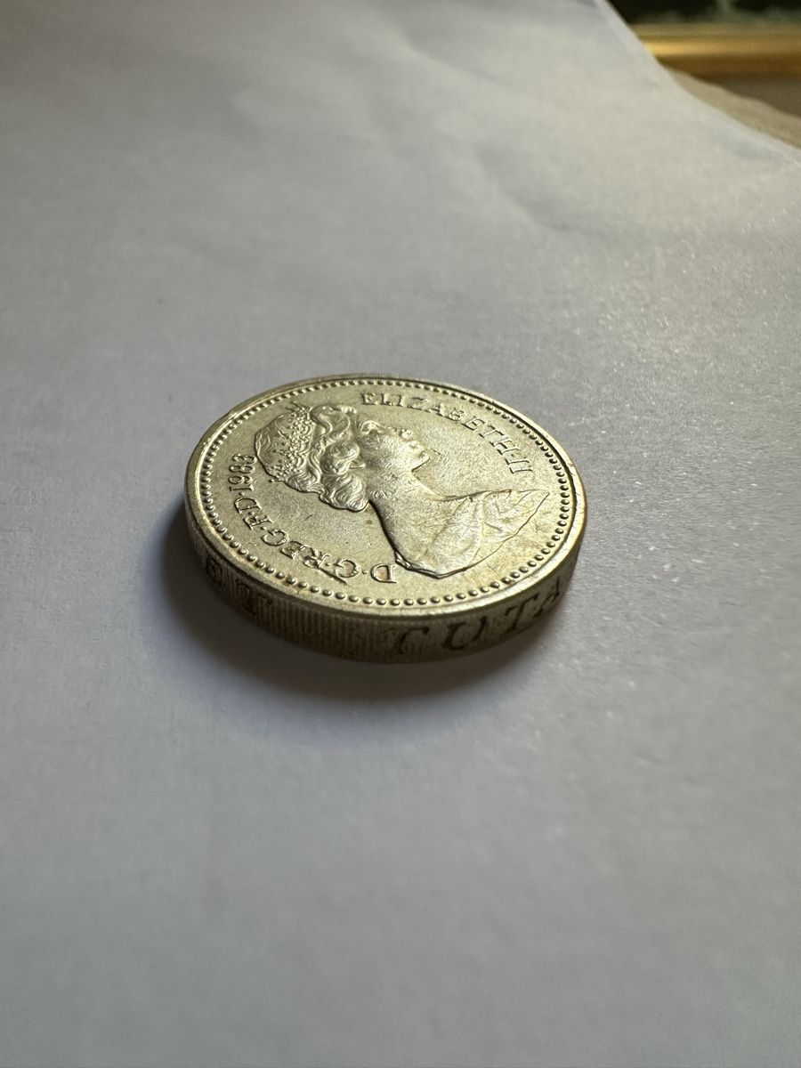 Tutti le monete: One pound 1983 | Decus et Tutamen – Usato da Gampelen venduto da theboywhoworks 2