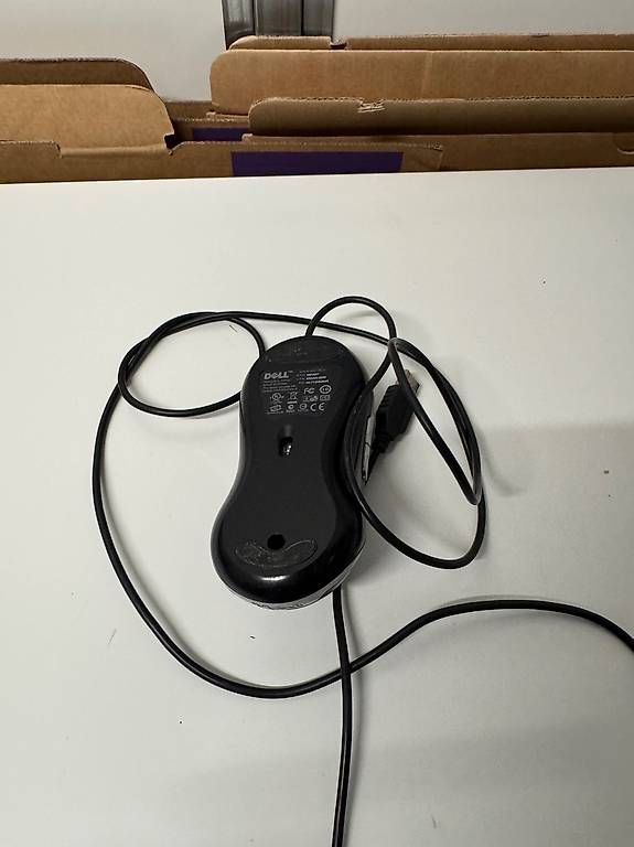 Dell Mouse: Dell Professional Business USB Maus – Usato da Schübelbach venduto da Rahnmont 4