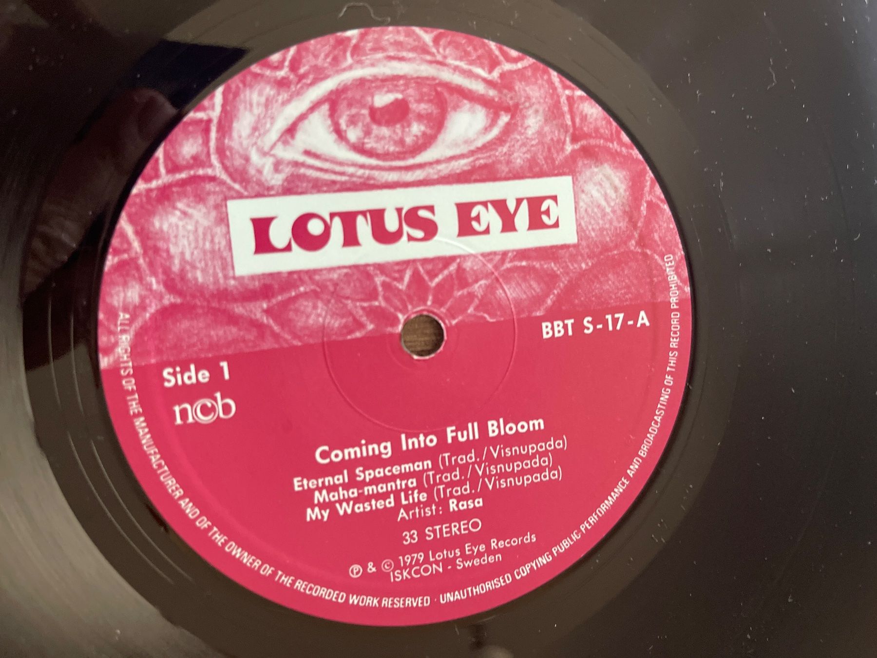 Dischi in vinile: M77/Rasa - Coming Into Full Bloom – Usato da Frutigen venduto da Philippe_jsp 2
