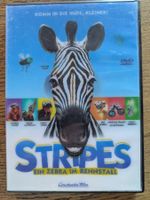 Stripes - Ein Zebra im Rennstall (DVD)