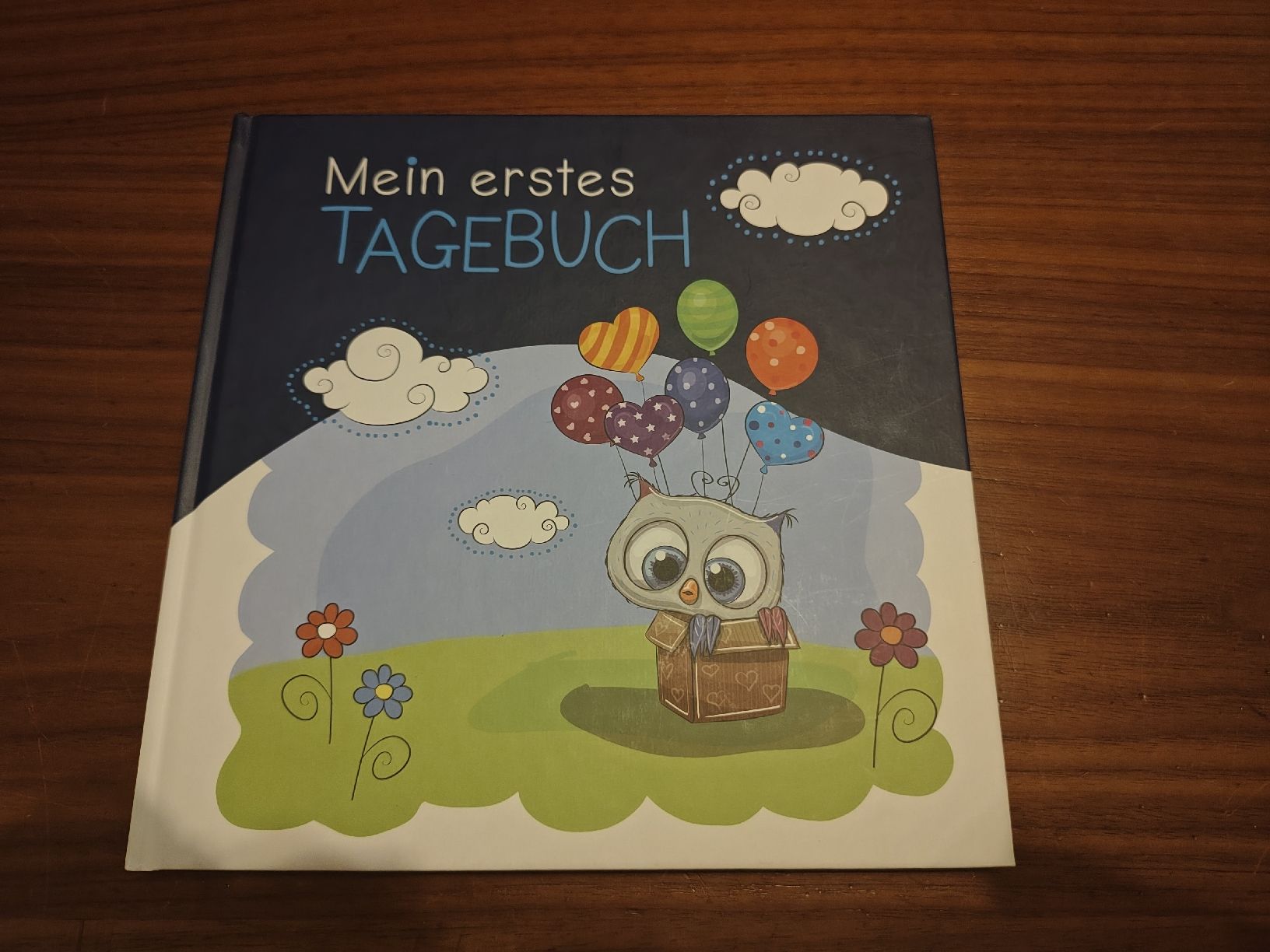Libri: Gratis: Tagebuch, Geburtsbuch, Geburt, Baby – Nuovo (secondo la descrizione) da Aeugst am Albis venduto da RotesDing
