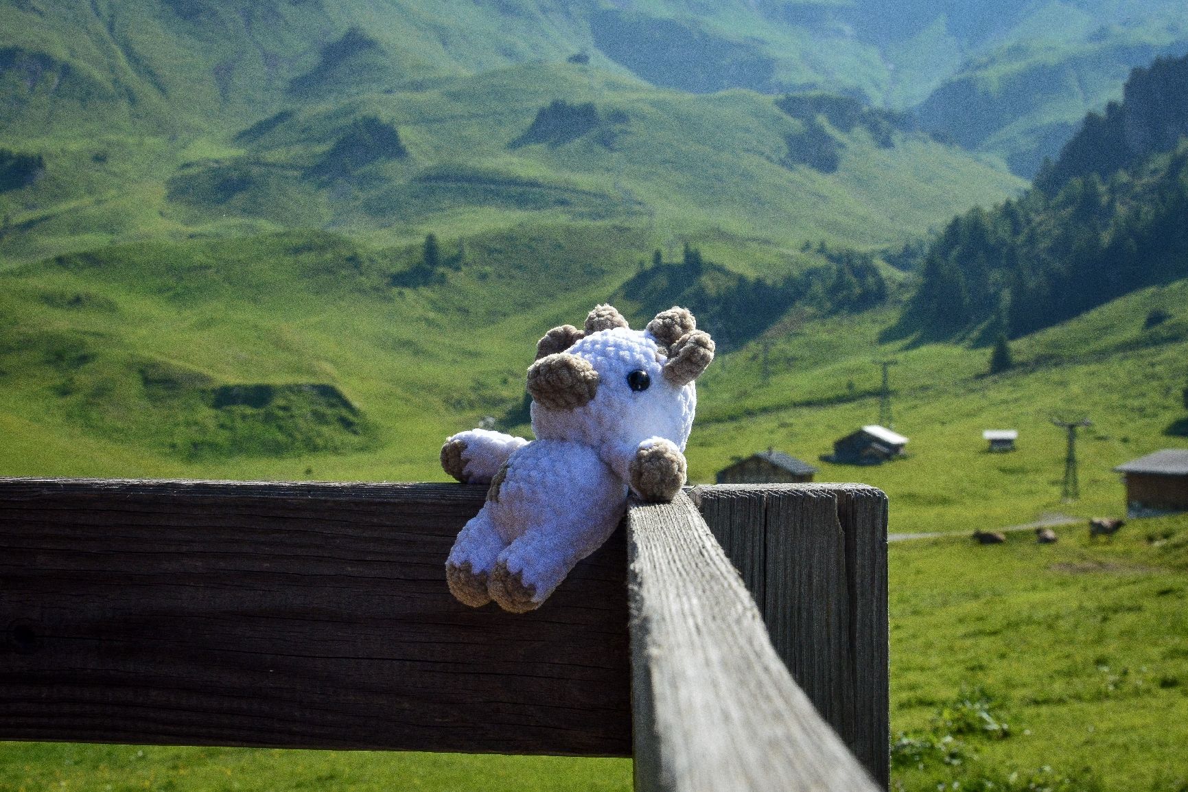 Alle Dekorationen: Gehäkelte Kuh (stehend) – Neu und originalverpackt aus Meiringen von Flauschfarm 1