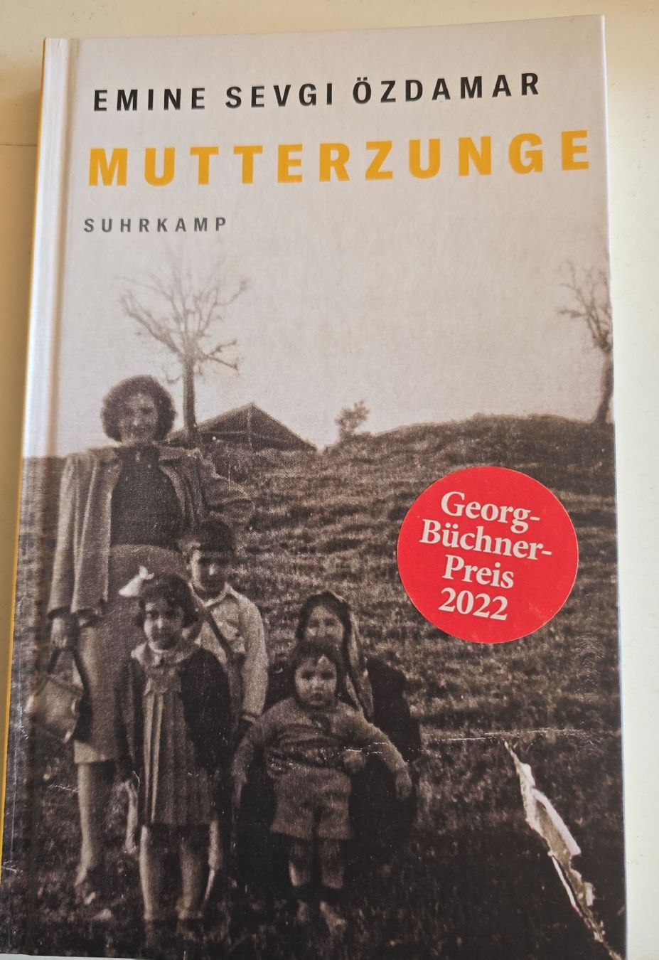 Libri: Mutterzunge - Emine Sevgi Özdamar – Usato da Oberbüren venduto da Elk2025