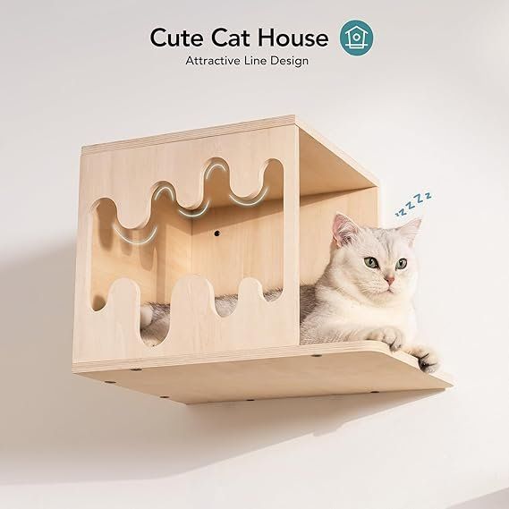 Pareti & prese d'arrampicata: Katzen-Wandregale aus Holz, 4er-Pack – Nuovo e nell'imballaggio originale da Oberentfelden venduto da sch_8bt6 2