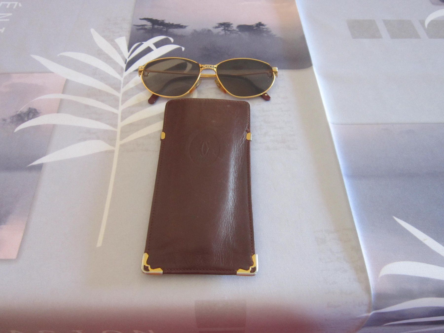 Cartier Occhiali & Lenti: Lunette Cartier – Usato da La Conversion venduto da mignon47 1