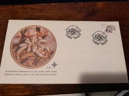 Rare Enveloppe Philatélique Afrique du Sud Steinkopf 1990!