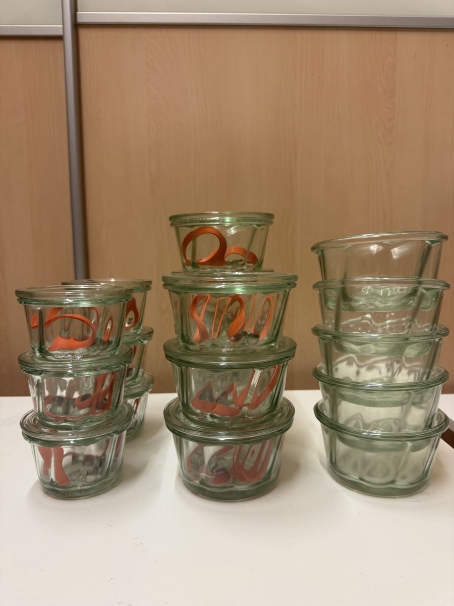 Weck Behälter & Ähnliches: Weck Glas – Neu (gemäss Beschreibung) aus Wynau von longvalley01