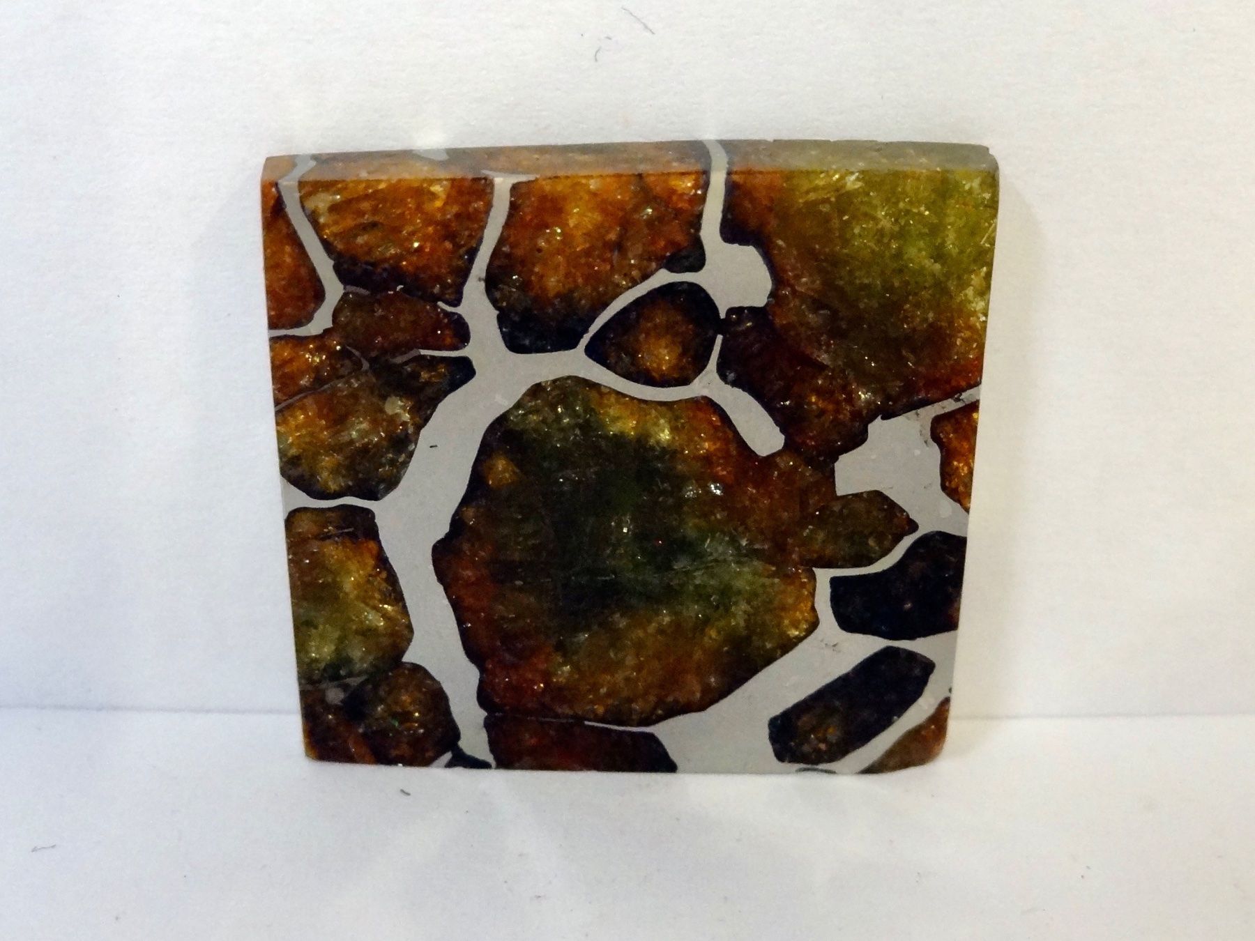 Minéraux & Lithothérapie: Meteorit PALLASIT Eisen-Stein-Meteorit IMILAC CHILE – Neuf (Voir description) à Kerzers par djstarsky73 1