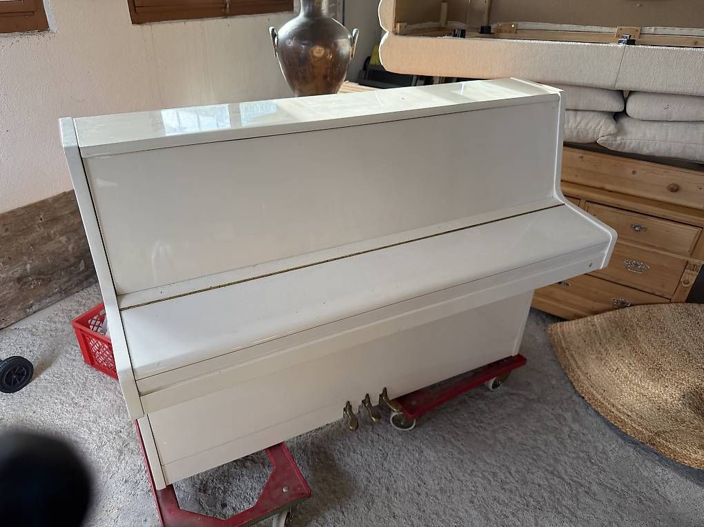 Strumenti musicali: Klavier / Piano Samick weiss – Usato da Einsiedeln venduto da onesiedler 1