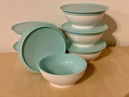 Tupperware Allegra Dessertschalen 6x 275ml