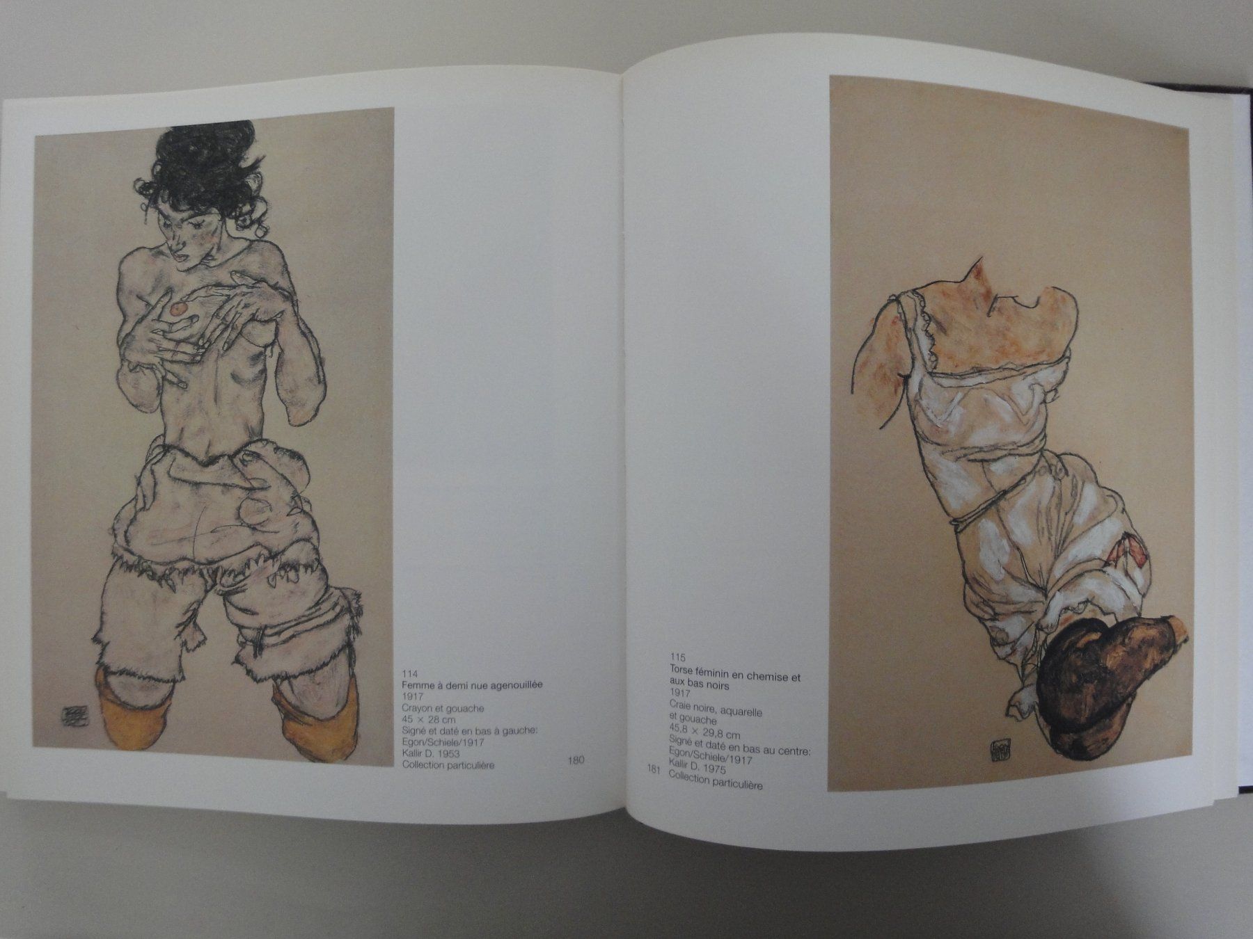 Libri: EGON SCHIELE – Nuovo (secondo la descrizione) da Biel/Bienne venduto da 07helios032 4