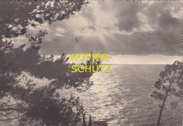 Sonnenstrahlen /mp