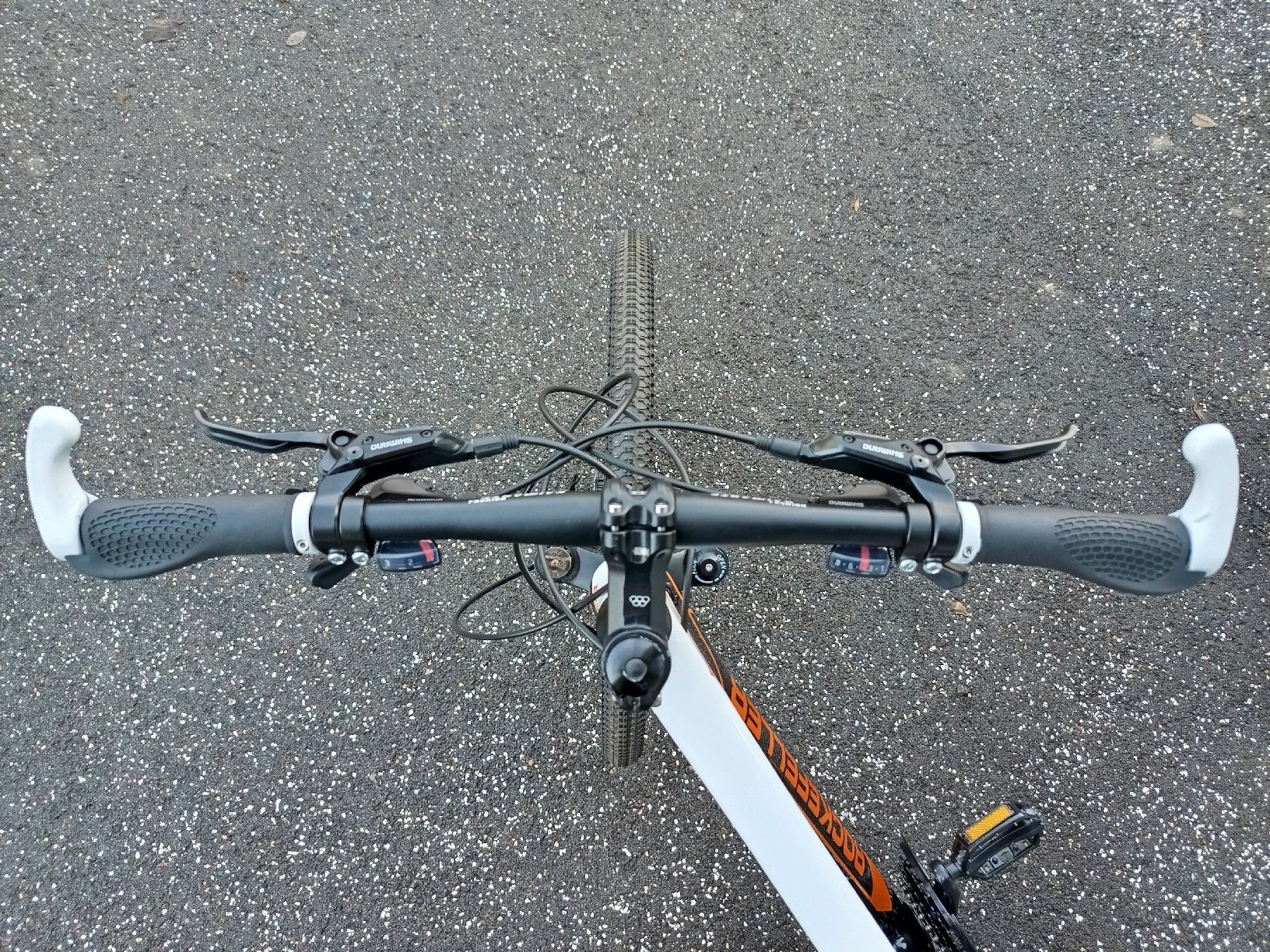 Biciclette: Mountainbike Rockefeller Carbon ab Service – Nuovo (secondo la descrizione) da Amriswil venduto da FahrRadService 1