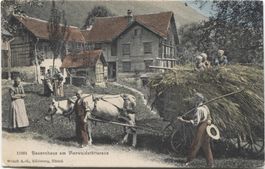 Landwirtschaft/Ochsenfuhrwerk/Heuen 1908 Vierwaldstättersee