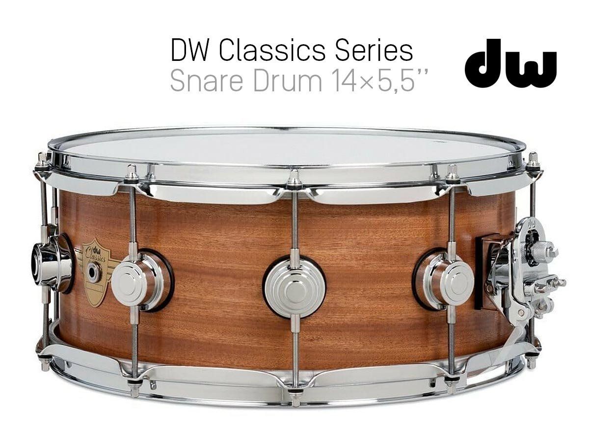 DW Strumenti musicali: DW Classics Series Snare Drum 14×5,5 – Usato da Vevey venduto da sushitrader