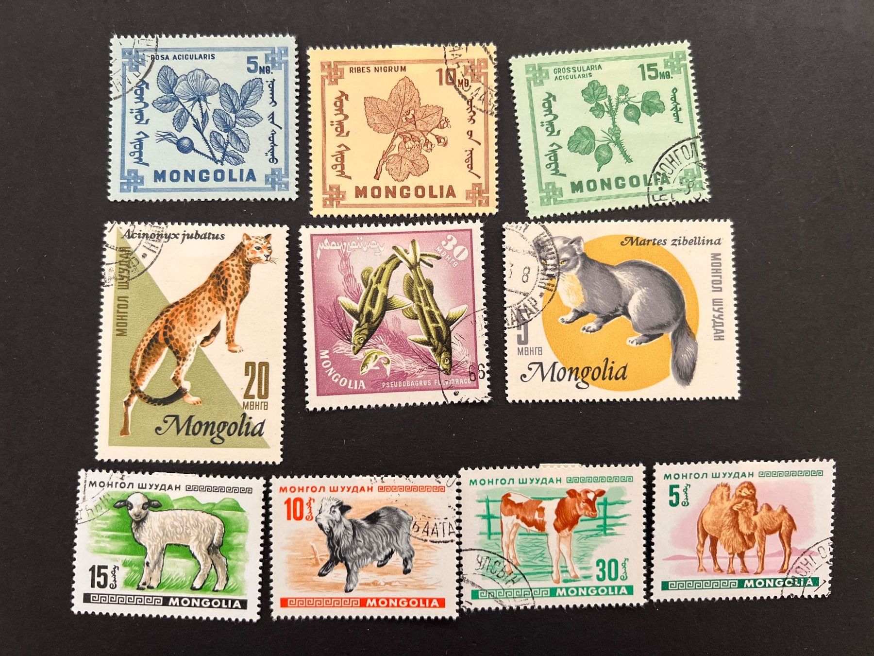 Tutti i francobolli: Mongolei kl. Lot gest.  (2096) – Usato da Hinwil venduto da Sidi4