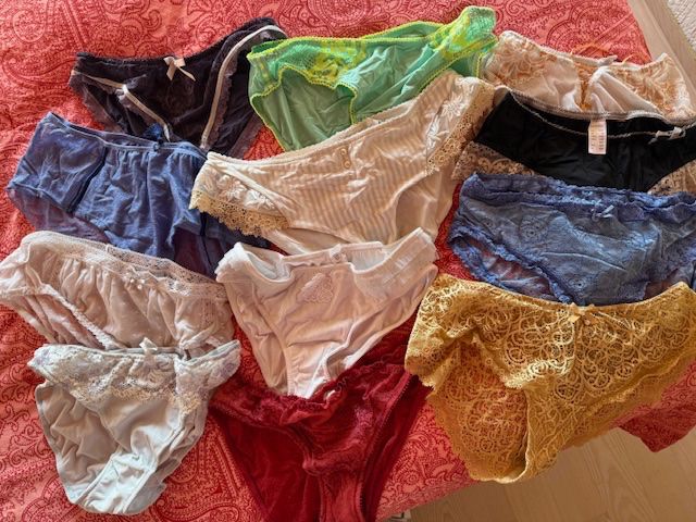 Altra biancheria intima: Lot de 12 Slips dame Charlott – Usato da Enges venduto da cordec