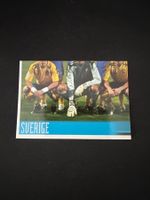 Panini UEFA EM 2008 Sticker - Nr. 387