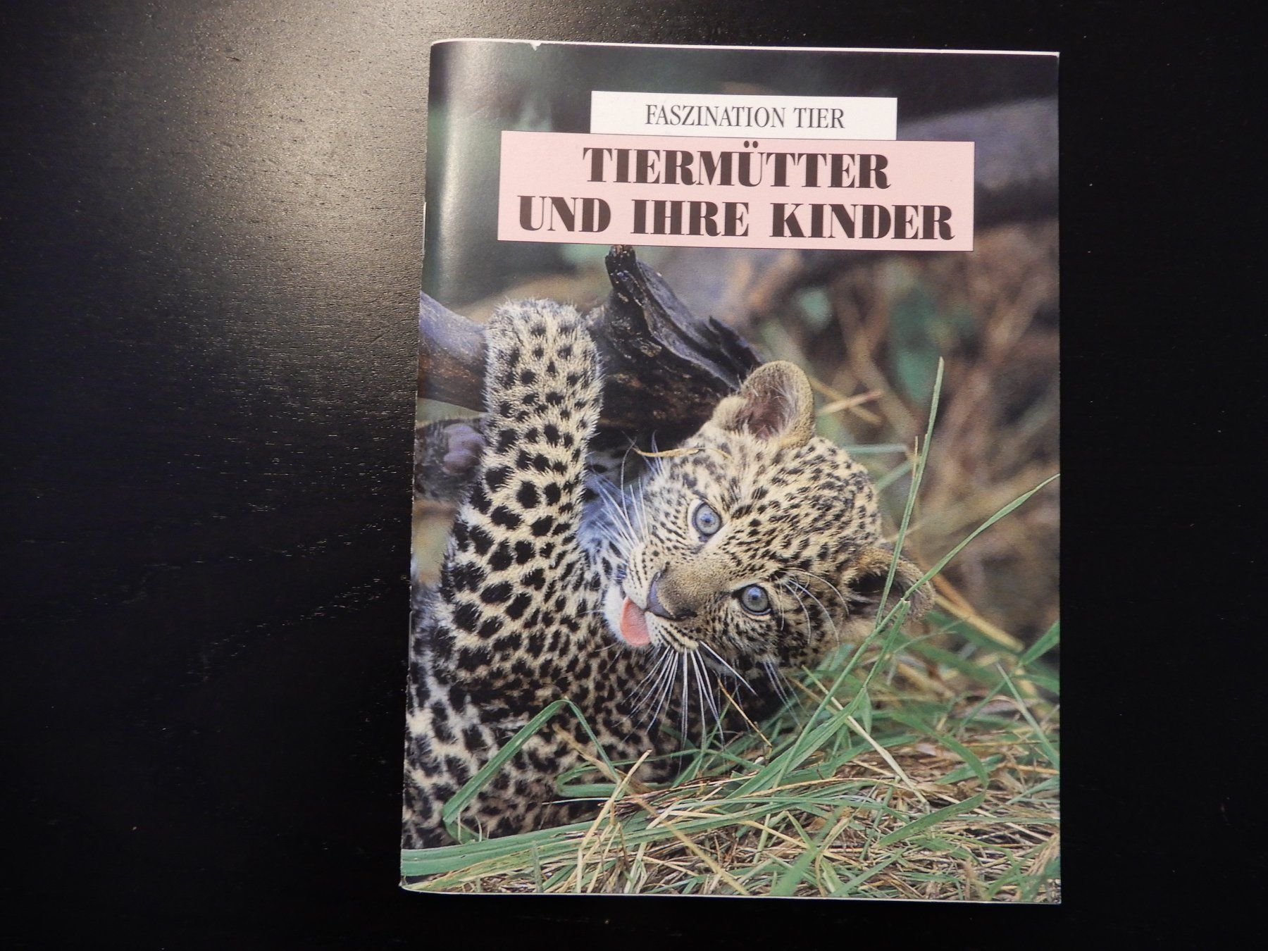 Bücher: Tierbuch "Tiermütter und ihre Kinder" STS – Gebraucht aus Erstfeld von Mario_boe0