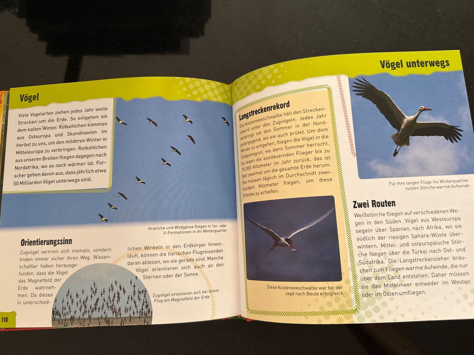 Bücher: NEU! Quartettbuch Tierrekorde mit Spielkarten – Neu und originalverpackt aus Schönenwerd von d.chiara 7
