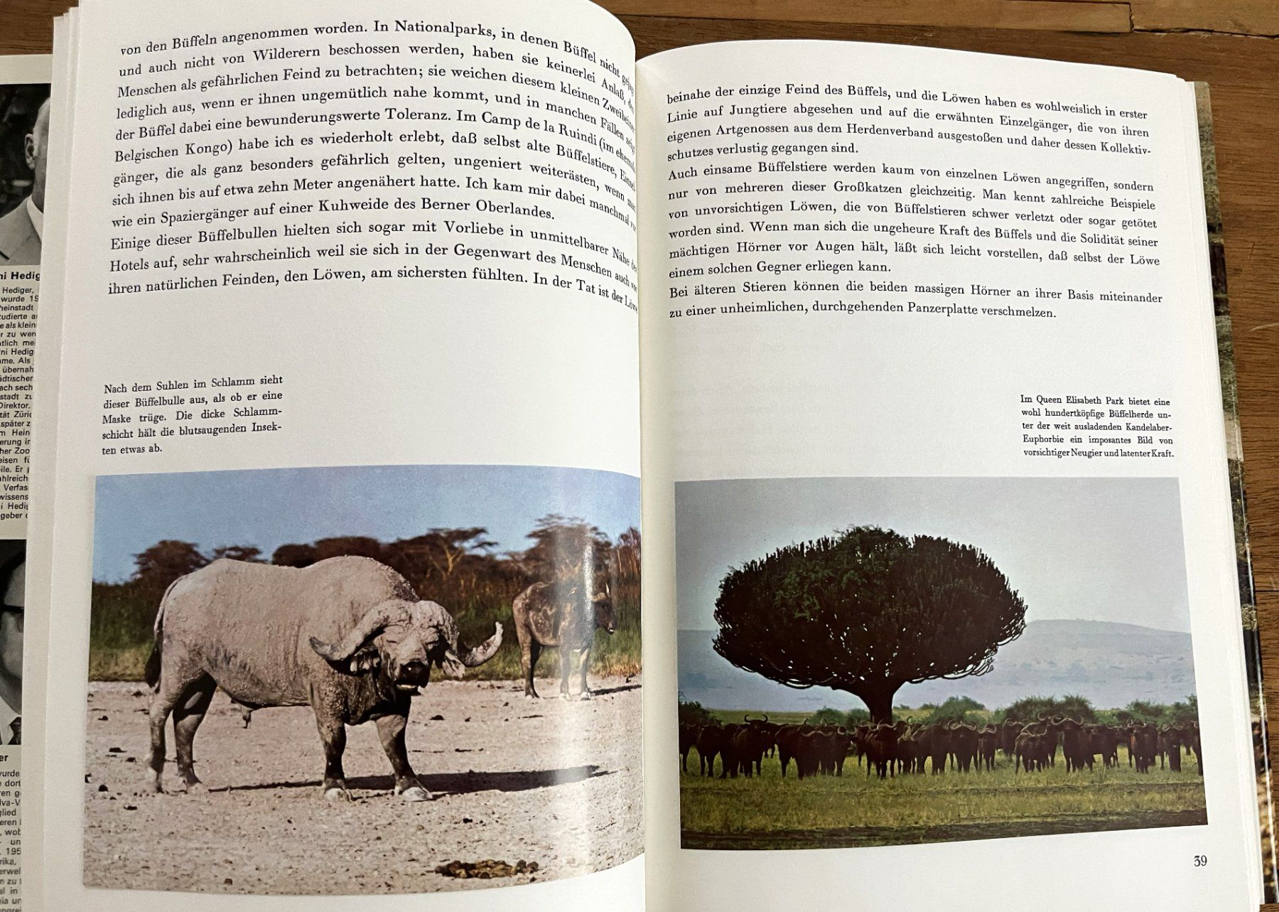 Bücher: Silva Verlag, Zoo Ostafrika, 1966 – Gebraucht aus Oftringen von Vucki 7