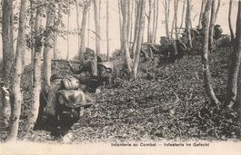 Militare Militär Militaire