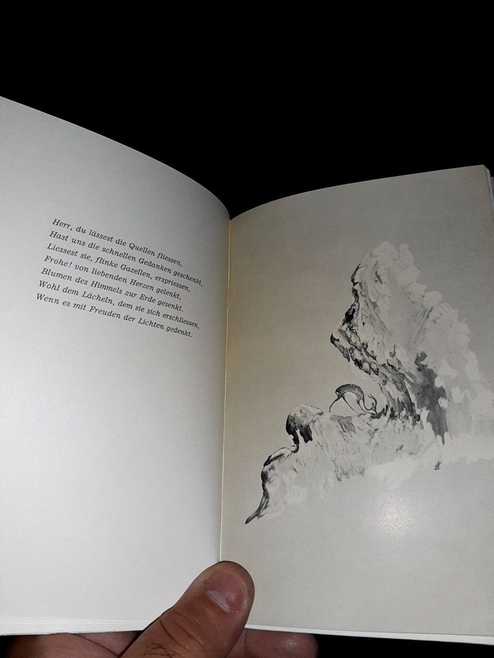 Bücher: das lied der gazelle – Gebraucht aus Le locle von juliensaran 3