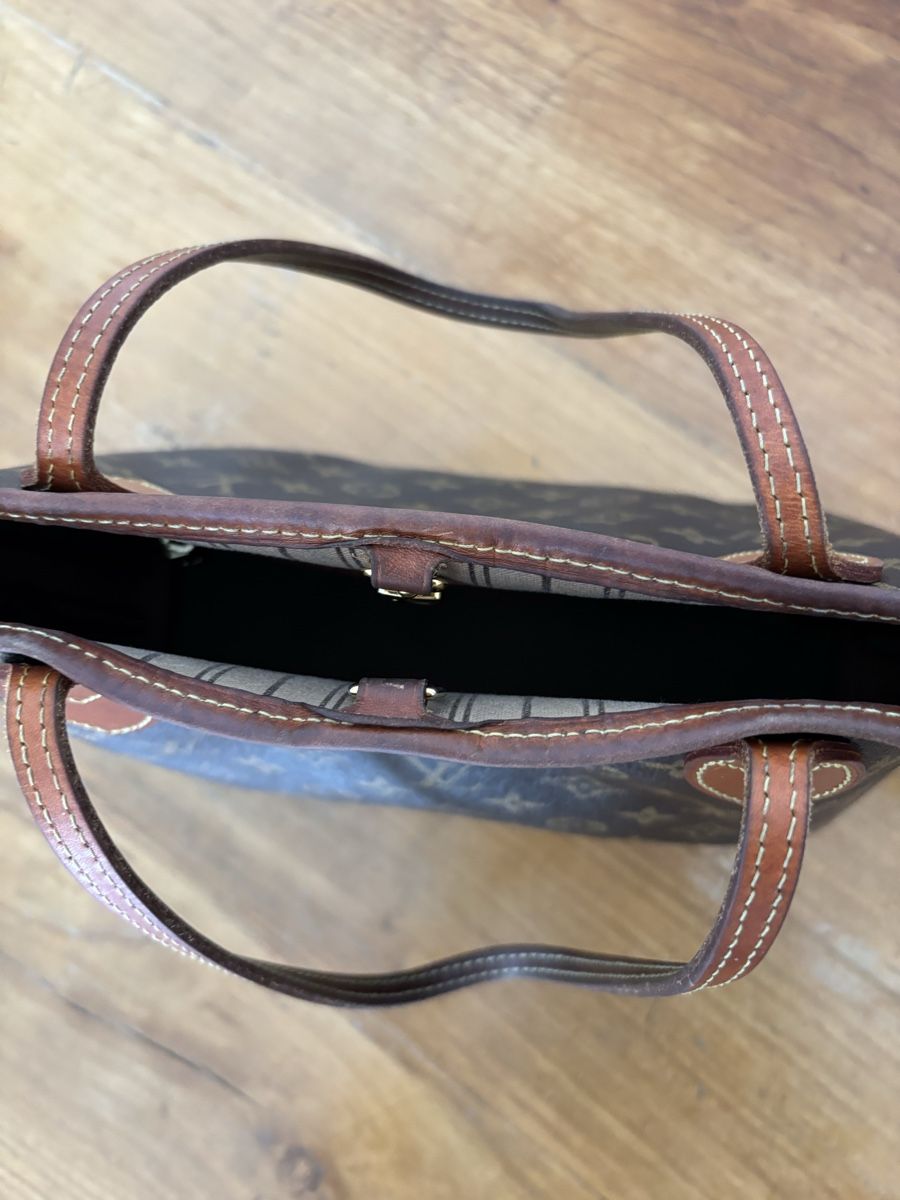 Louis Vuitton Borse: Louis Vuitton Neverfull PM Bag – Usato da Dietikon venduto da qia_s6qm 6