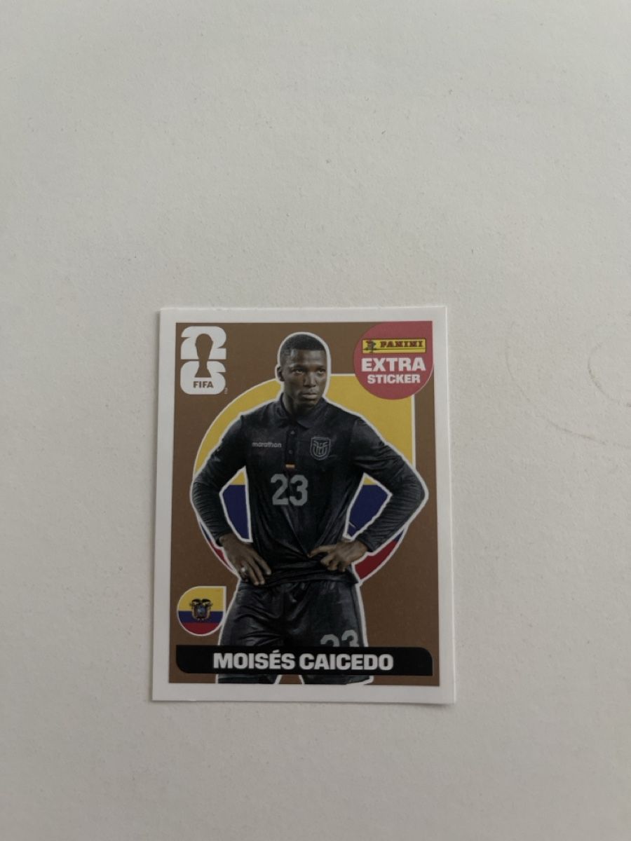 Panini Sammelbilder & Trading cards: Panini WM 26 Extra Sticker Caicedo – Neu (gemäss Beschreibung) aus Luzern von kre_xg5t