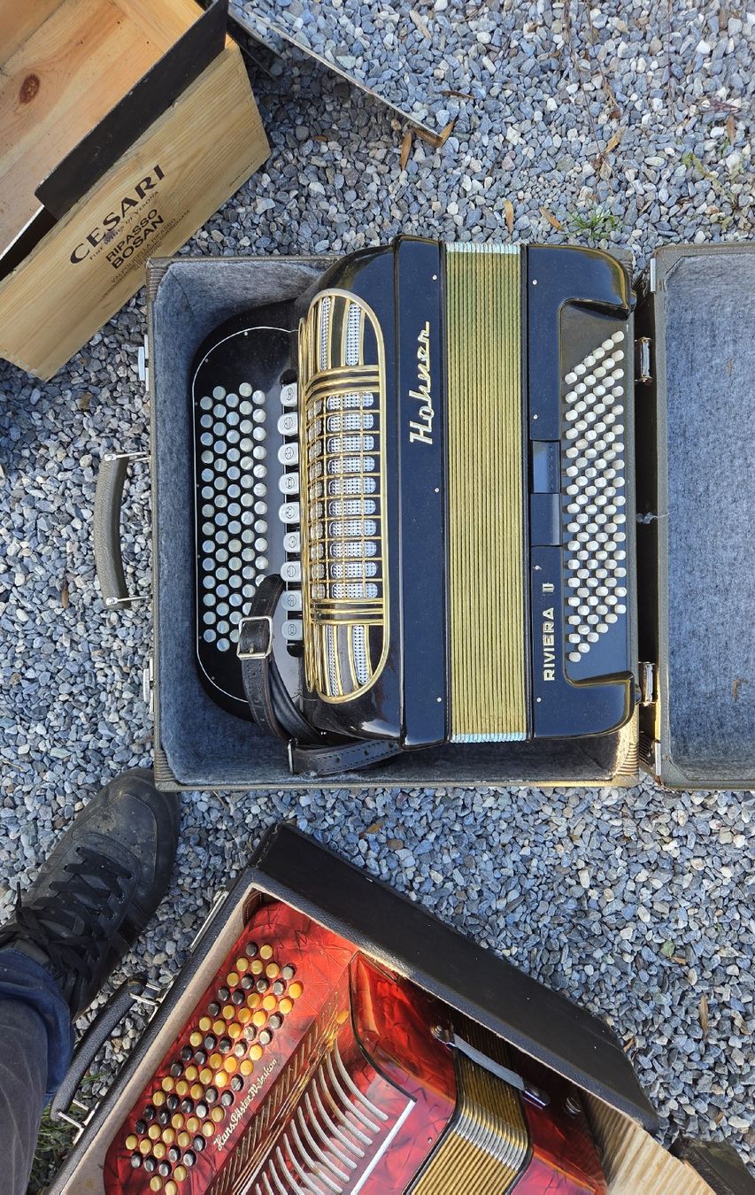Hohner Strumenti musicali: Akkordeons – Usato da Domat/Ems venduto da Coc87 1