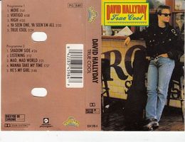 CASSETTE DAVID HALLYDAY - ROCK