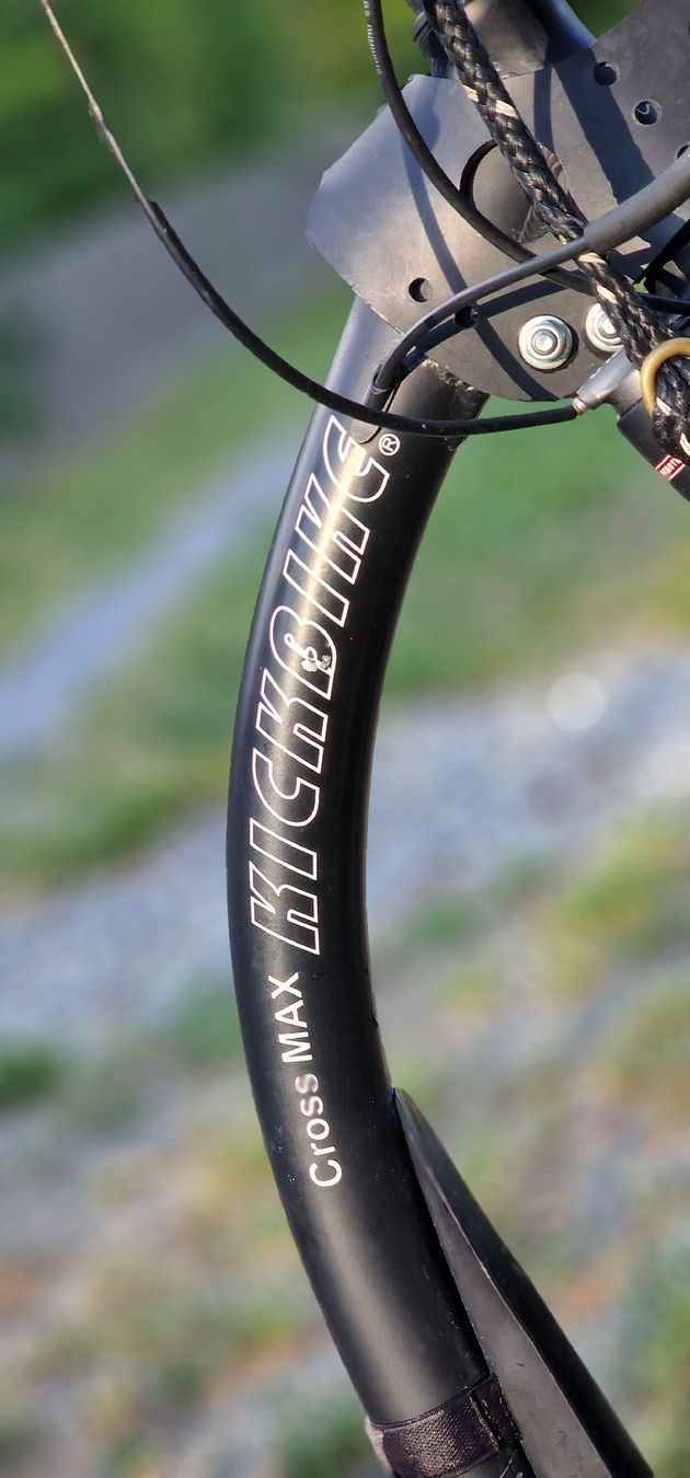Kickboard: Dogscooter Kickbike Cross, Scheibenbremsen – Usato da Eichberg venduto da flocoshop 8