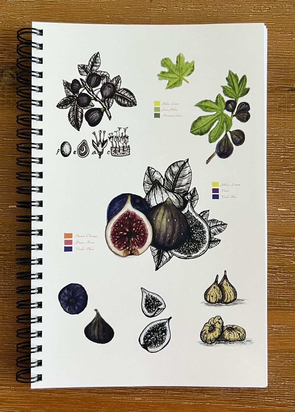 Schreibblöcke: Spiral Notizbuch Notebook von Handgemalte Botanisch Feige – Neu und originalverpackt aus Schliern b. Köniz von equilibrium1123 1
