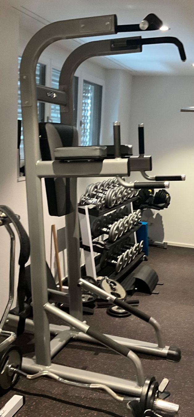 Hometrainer: TuffStuff Dip Klimmzugstation RCD-347 | Studioqualität – Usato da Koblenz venduto da volkiland_5765 2