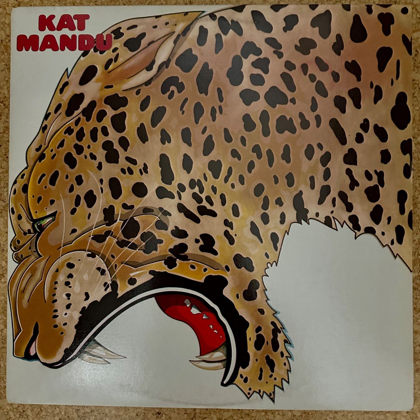 Dischi in vinile: LP - Kat Mandu – Kat Mandu – Usato da Breganzona venduto da Onairda75