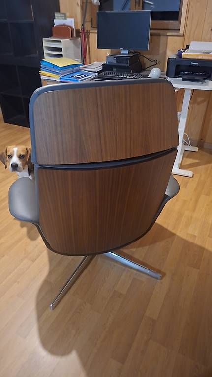 Poltrone: Fauteuil – Usato da Lausanne venduto da car_hst6