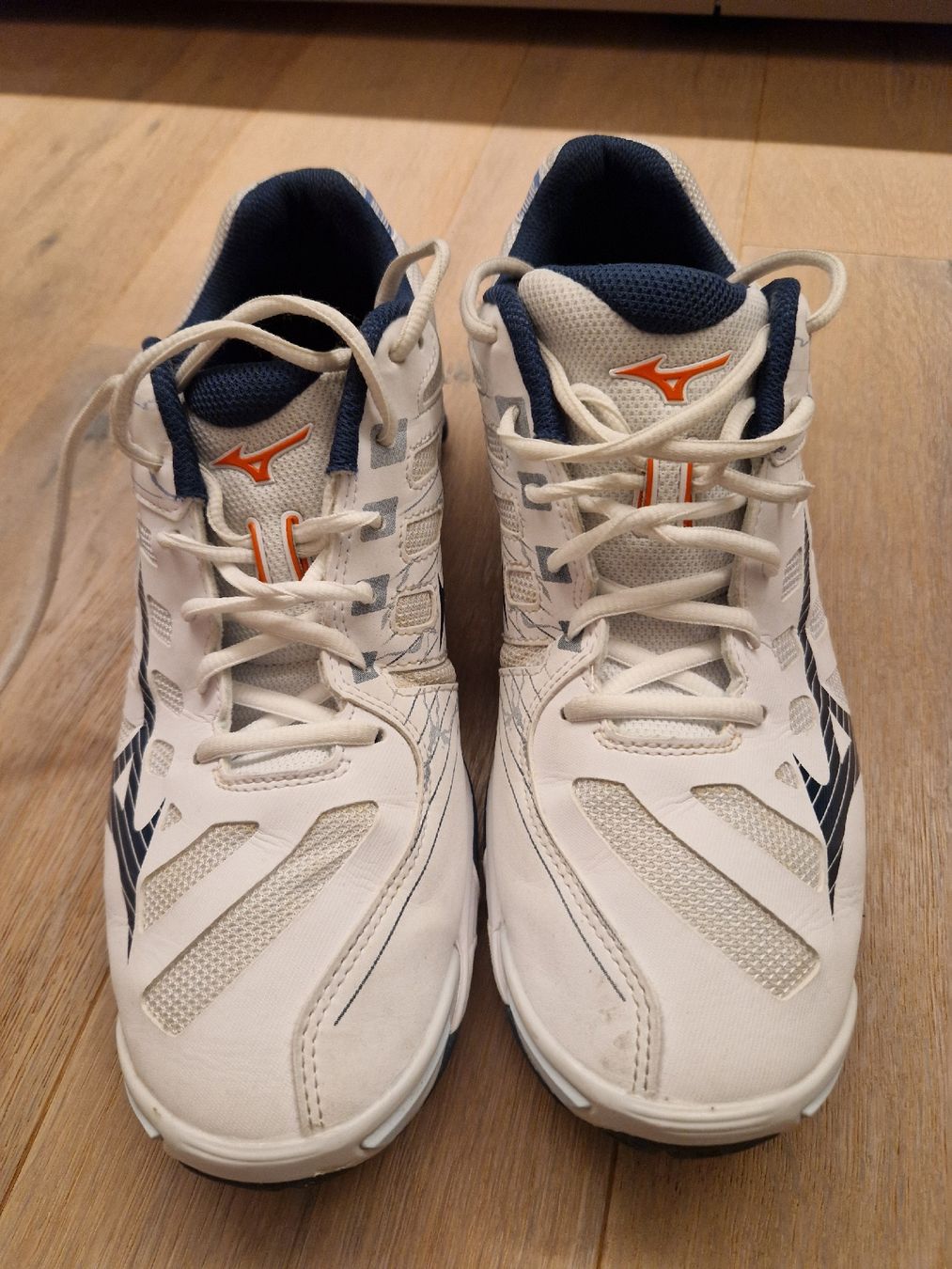 Mizuno Scarpe da uomo: Hallenschuhe Mizuno Wave Voltage Gr.44 – Usato da Frauenfeld venduto da Capecorse 1