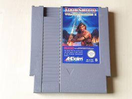 Iron Sword Wizards & Warriors II