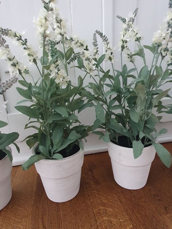 Lavendel im Topf, künstliche Pflanze, Frühling, Blume, 5 Stk Kaufen