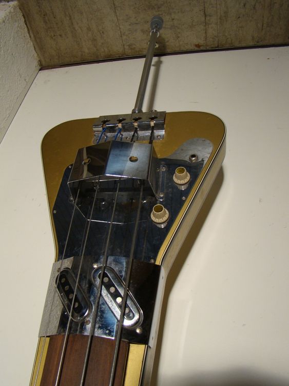 FRAMUS Triumph Elektro Upright Bass Kaufen auf Ricardo