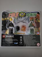 LEGO Ninjago Cole vs. Ronin