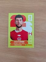 Panini Fifa CAN 12