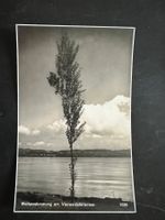 AK ca 1950 Kunstkarte Vierwaldst.see  ungelaufen    (G1073)