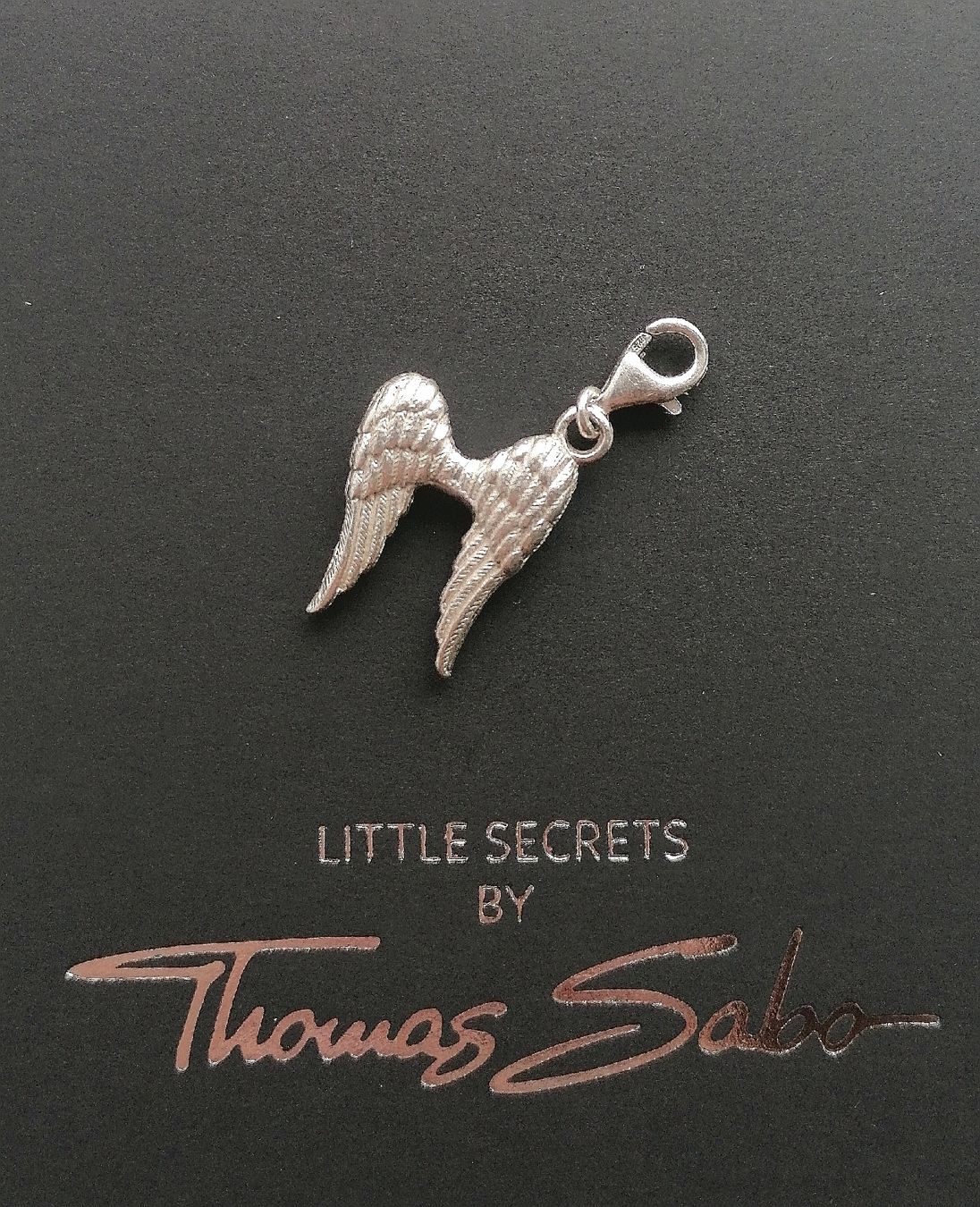 Thomas Sabo Anhänger: Thomas Sabo Anhänger Engelsflügel – Gebraucht aus Goldswil von cin_m8xy