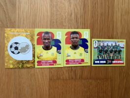 Panini Sticker RSA