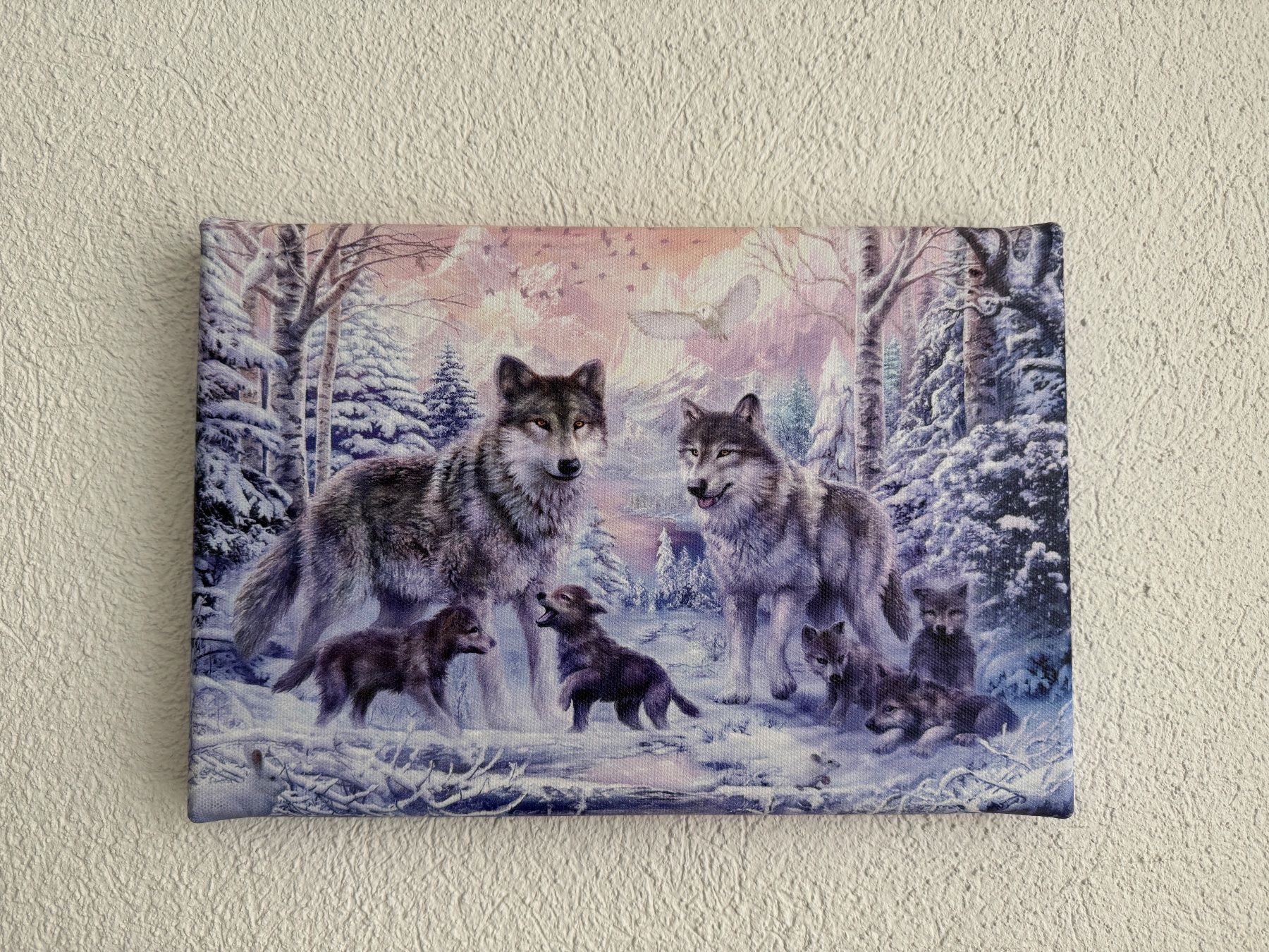 Foto & Immagini: Leinwandbild Wolffamilie im Winter – Nuovo (secondo la descrizione) da Wohlen AG venduto da shoppi1