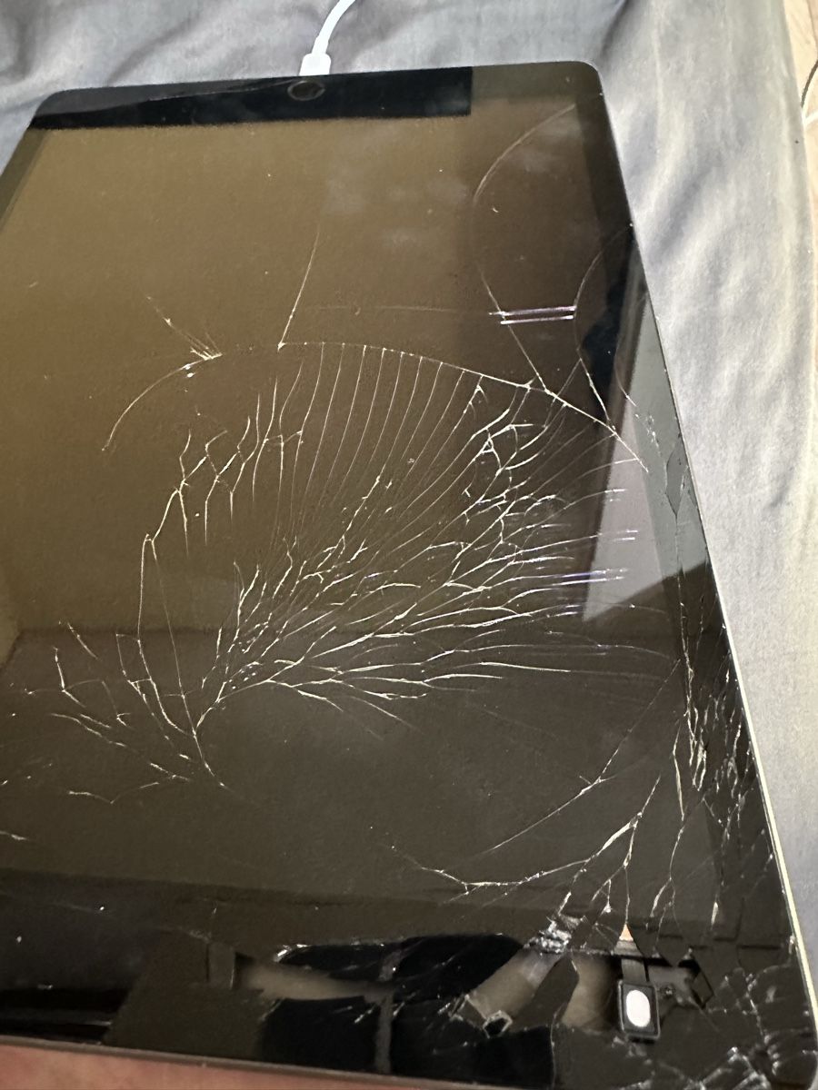 Apple Tablet PC: Tablette Apple 2021 9.Gen – Usato da Dättwil AG venduto da nes_t6k8 2