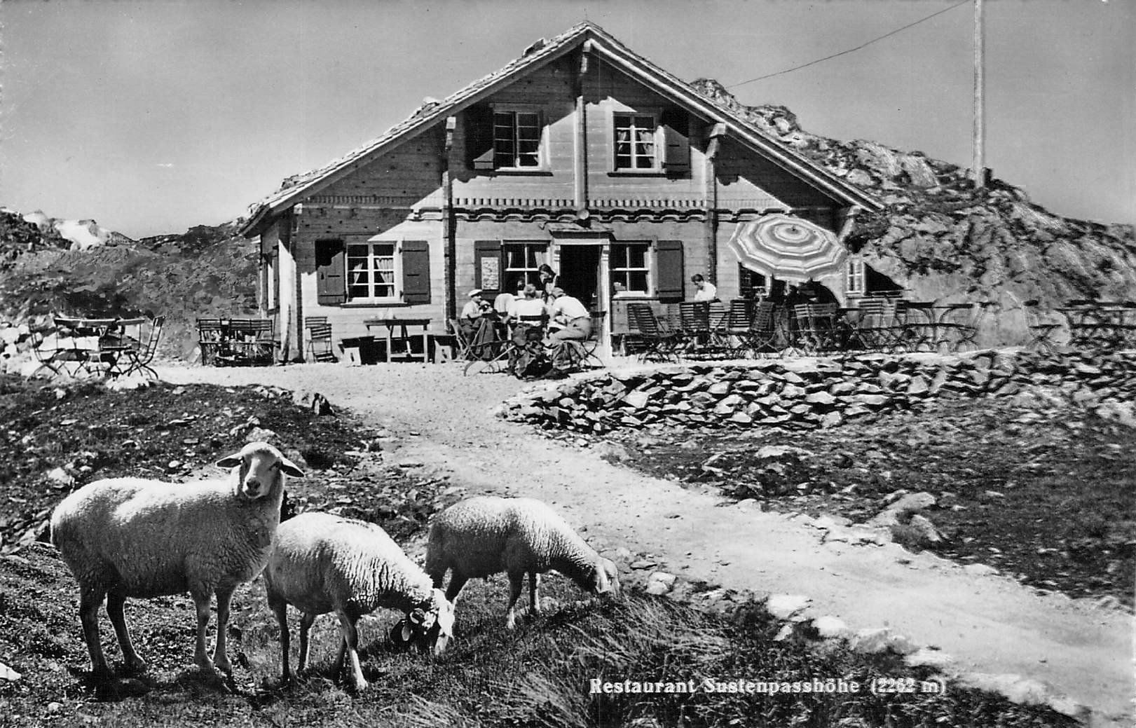 Cartoline postali: Sustenpasshöhe Restaurant – Usato da Reichenburg venduto da Pipo-67